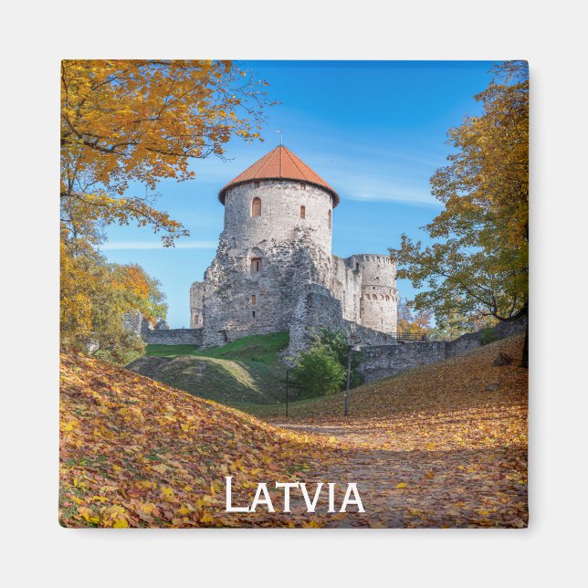 Medieval castle surrounded by forest magnet (Front)