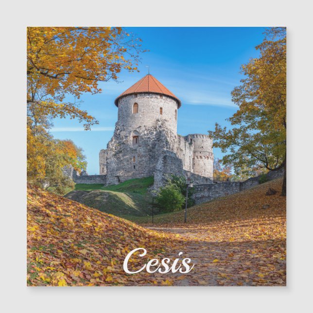 Medieval castle surrounded by forest magnet (Front)