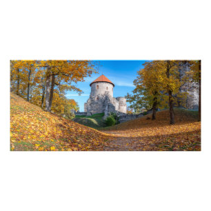Medieval castle surrounded by forest photo print