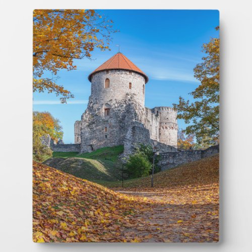 Medieval castle surrounded by forest plaque