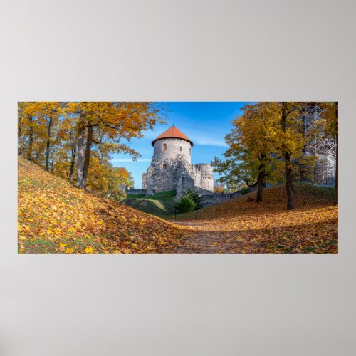 Medieval castle surrounded by forest poster