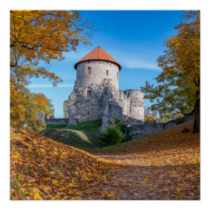 Medieval castle surrounded by forest poster