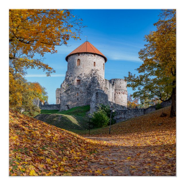 Medieval castle surrounded by forest poster (Front)