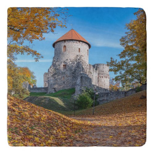 Medieval castle surrounded by forest trivet