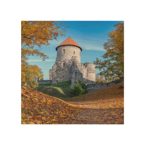 Medieval castle surrounded by forest wood wall art