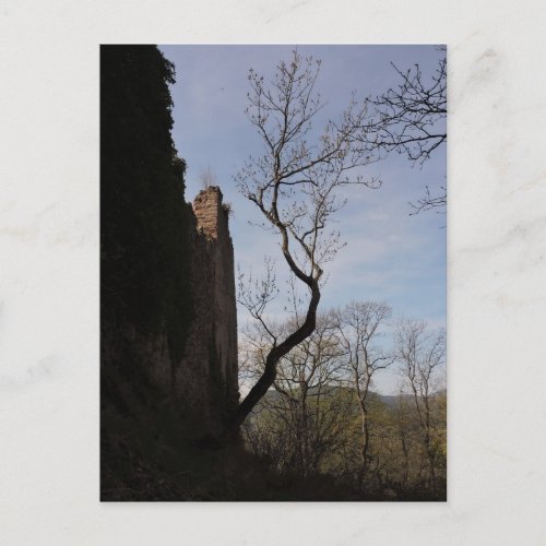 Medieval Castle Tower Ruins and Tree Postcard