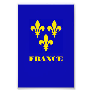 Medieval French Royal Standard Fidelity Heraldic Photo Print