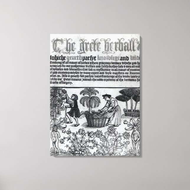 Medieval Herb Garden Canvas Print (Front)