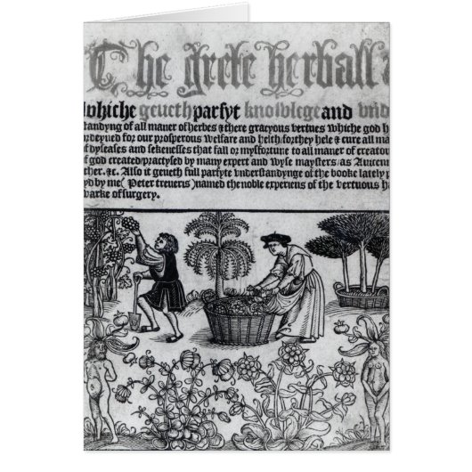 Medieval Herb Garden Cards (Front)