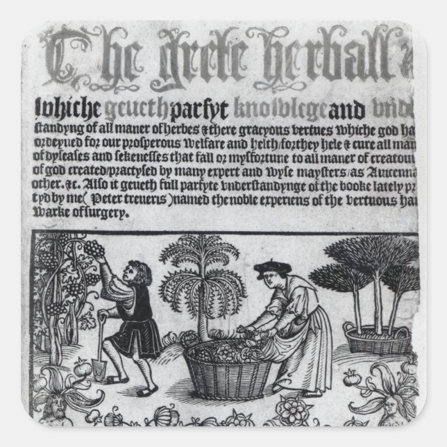Medieval Herb Garden Square Sticker (Front)
