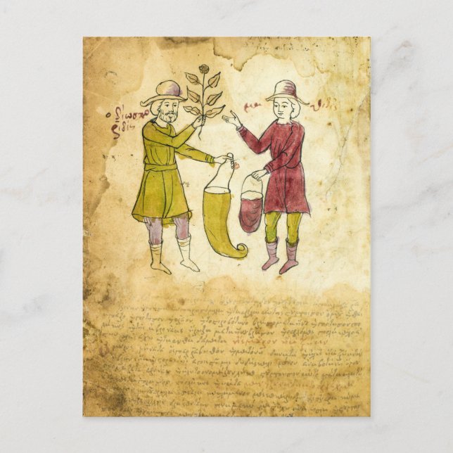 Medieval Herbalist Manuscript illustration card (Front)