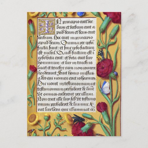 Medieval Illuminated Manuscript Gospel St John Postcard