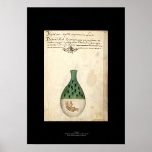 Medieval Italian Alchemy Poster Plate 4