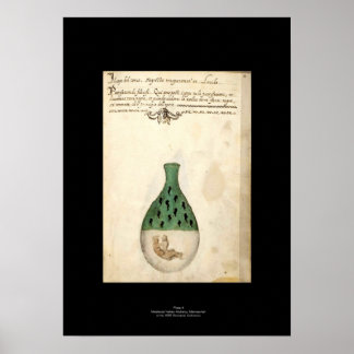 Medieval Italian Alchemy Poster Plate 4