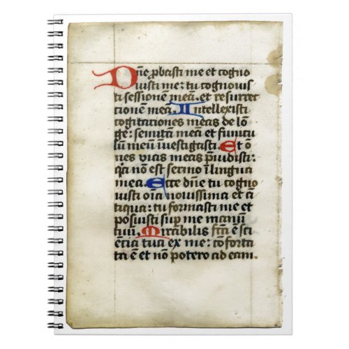 Medieval  Manuscript Notebook