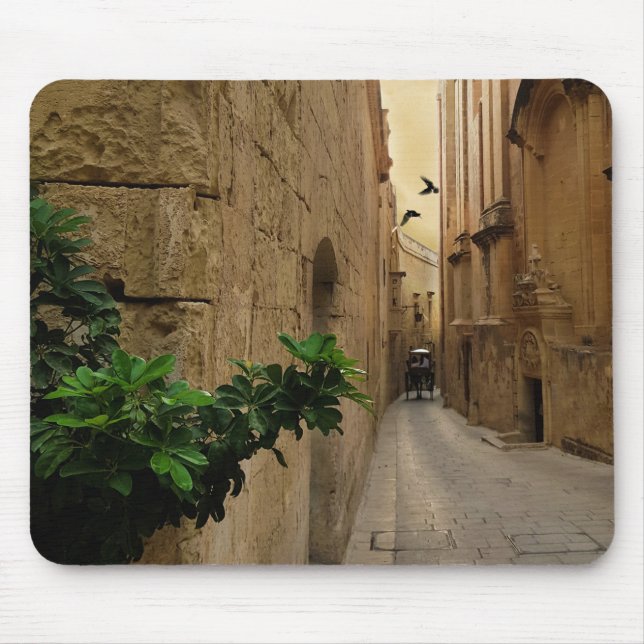 Medieval Narrow Street Tall Buildings And Coach Mouse Pad (Front)