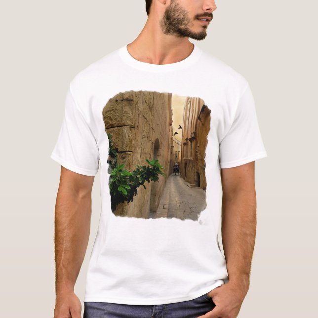 Medieval Narrow Street Tall Buildings And Coach T-Shirt (Front)