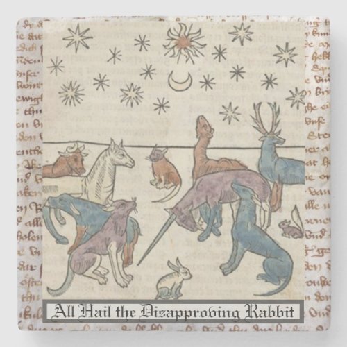 Medieval Rabbit Art Unicorn Camel Dog Cat Sun Star Stone Coaster