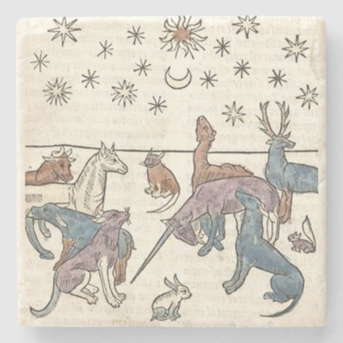 Medieval Rabbit Art Unicorn Dog Cat Unique Stone Coaster