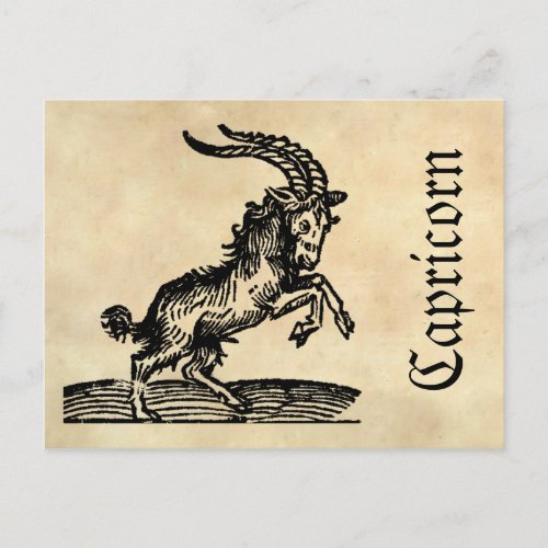 Medieval Renaissance Zodiac Symbol Capricorn Postcard