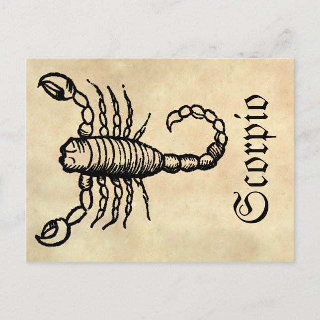 Medieval Renaissance Zodiac Symbol Scorpio Postcard (Front)