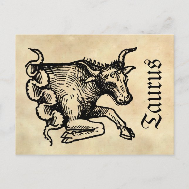 Medieval Renaissance Zodiac Symbol Taurus Postcard (Front)