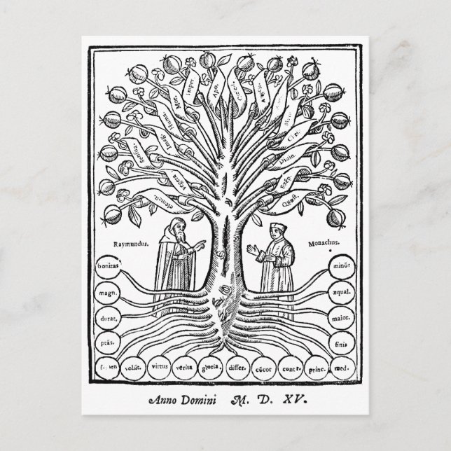 Medieval Tree of Sciences Postcard (Front)