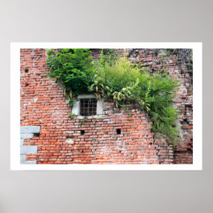 Medieval Window Detail Poster