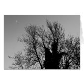 Medieval Winter Afternoon (Front Horizontal)