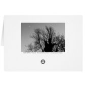Medieval Winter Afternoon Cards (Back Horizontal)