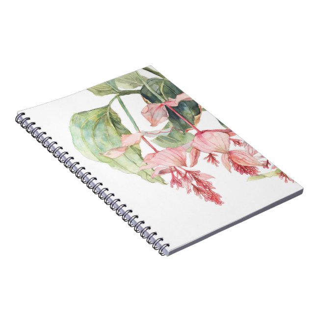 Medinilla Watercolor Illustration Notebook (Right Side)