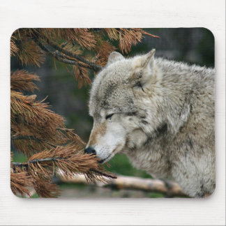 Meditating wolf mouse pad