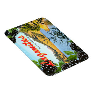 "Meditation at Lagunitas" Postcard-Inspired Magnet