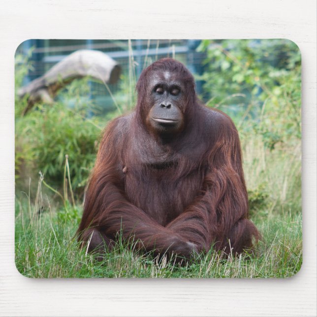 Meditation Mouse Pad (Front)