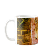 Meditation with Buddha's words