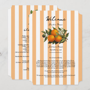 Mediterranean Citrus Orange Wedding Itinerary Program
