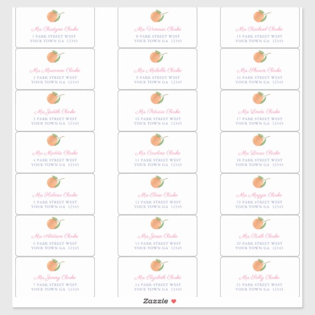Mediterranean Citrus Pink Guest Envelope Address Sticker (Sheet)