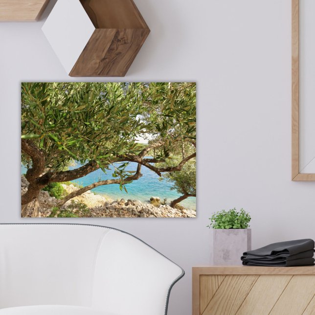 Mediterranean Coast Olive Tree Photo Poster (Creator Uploaded)