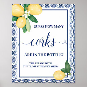 Mediterranean Guess How Many Corks Shower Game Poster