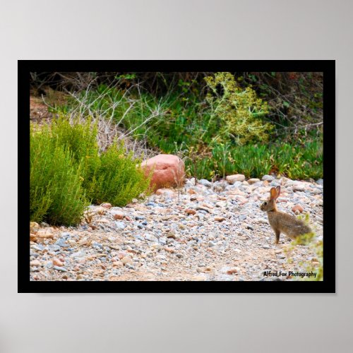 Mediterranean Mornings Poster