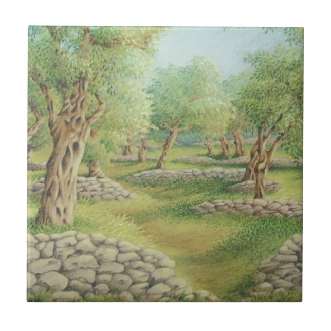 Mediterranean Olive Grove, Spain Ceramic Tile (Front)