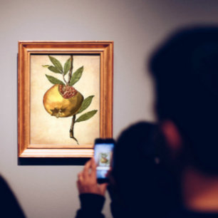 Mediterranean Pomegranate Fruit And Seeds Botanica Acrylic Print