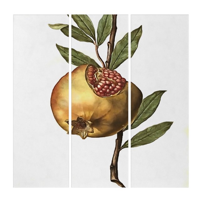 Mediterranean Pomegranate Fruit And Seeds Botanica Triptych (Front)