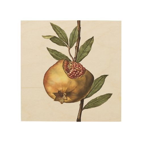 Mediterranean Pomegranate Fruit And Seeds  Wood Wall Art