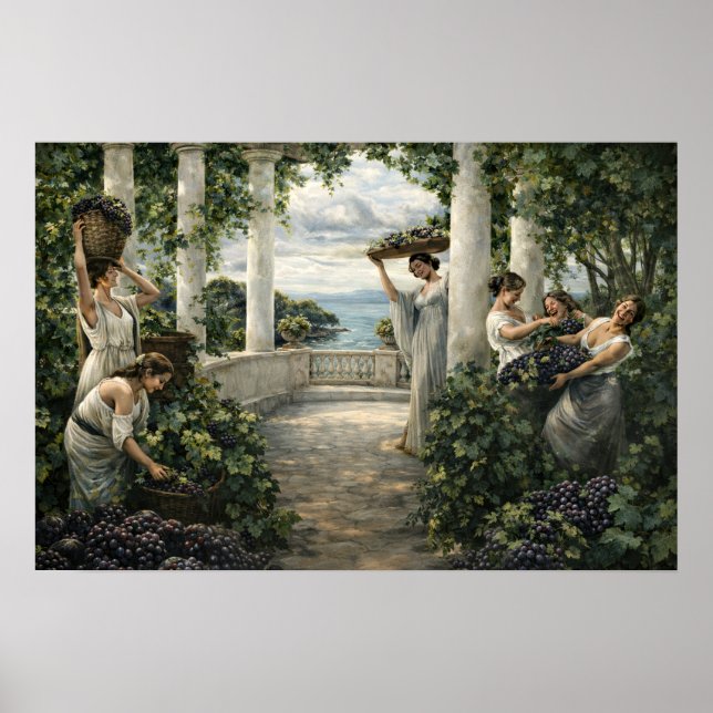 Mediterranean Vineyard Grape Harvest Poster (Front)