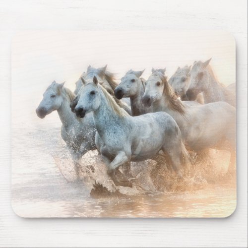 Mediterranean Water at Sunrise Mouse Pad