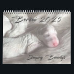Medium 2025 Borzoi Sleeping Beauty Calendar<br><div class="desc">A lovely collection of sleeping Borzoi beautys to enjoy throughout the year!</div>