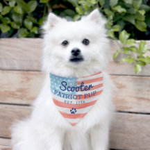 Medium Patriot Pup American Flag Pet Bandana