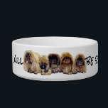 Medium Pet Bowl<br><div class="desc">If you know a Pekingese,  you know what they want! They want SERVICE! Hairstorm will help you feed any dog in your household!</div>