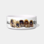 Medium Pet Bowl<br><div class="desc">If you know a Pekingese,  you know what they want! They want SERVICE! Hairstorm will help you feed any dog in your household!</div>